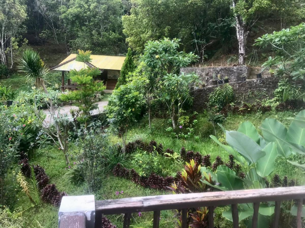 Munduk Sena Hotel Kültér fotó